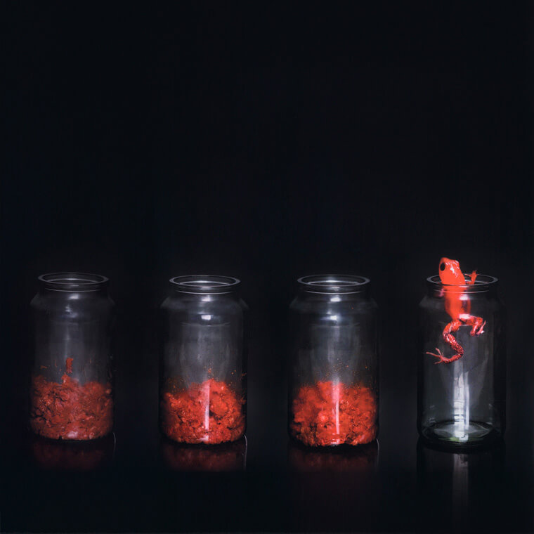 Diseño web y diseño gráfico para festival de música